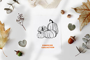 Pumpkins. Graphic collection, an Object Graphic by Vera●Suleimanova (Thumbnail 4 of 14)