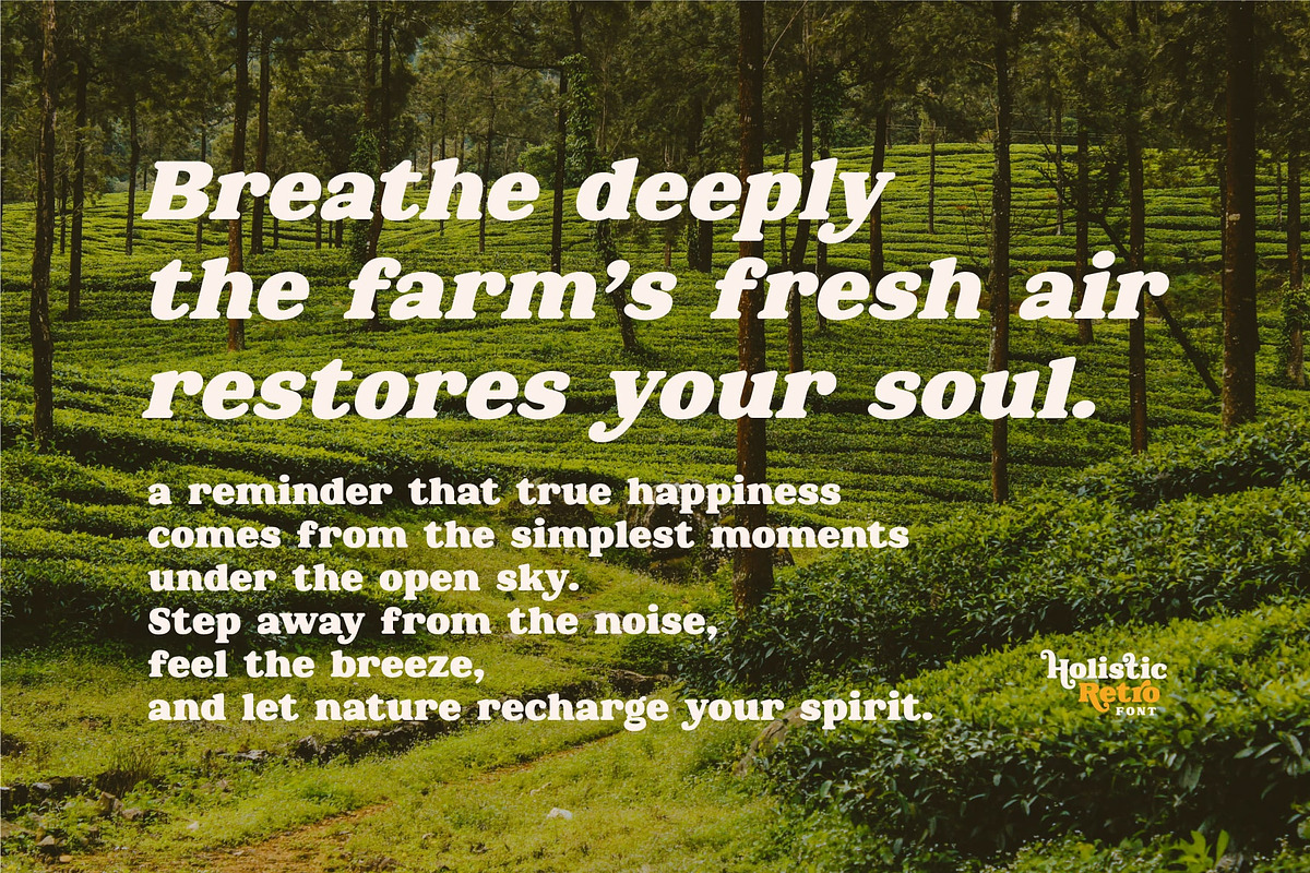 Holistic Retro – Bold Serif Font, a Serif Font by Salamahtype (Photo 5 of 8)