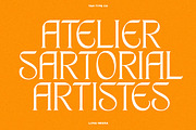 TAN - LUNA NEGRA, a Serif Font by TanType (Thumbnail 3 of 16)
