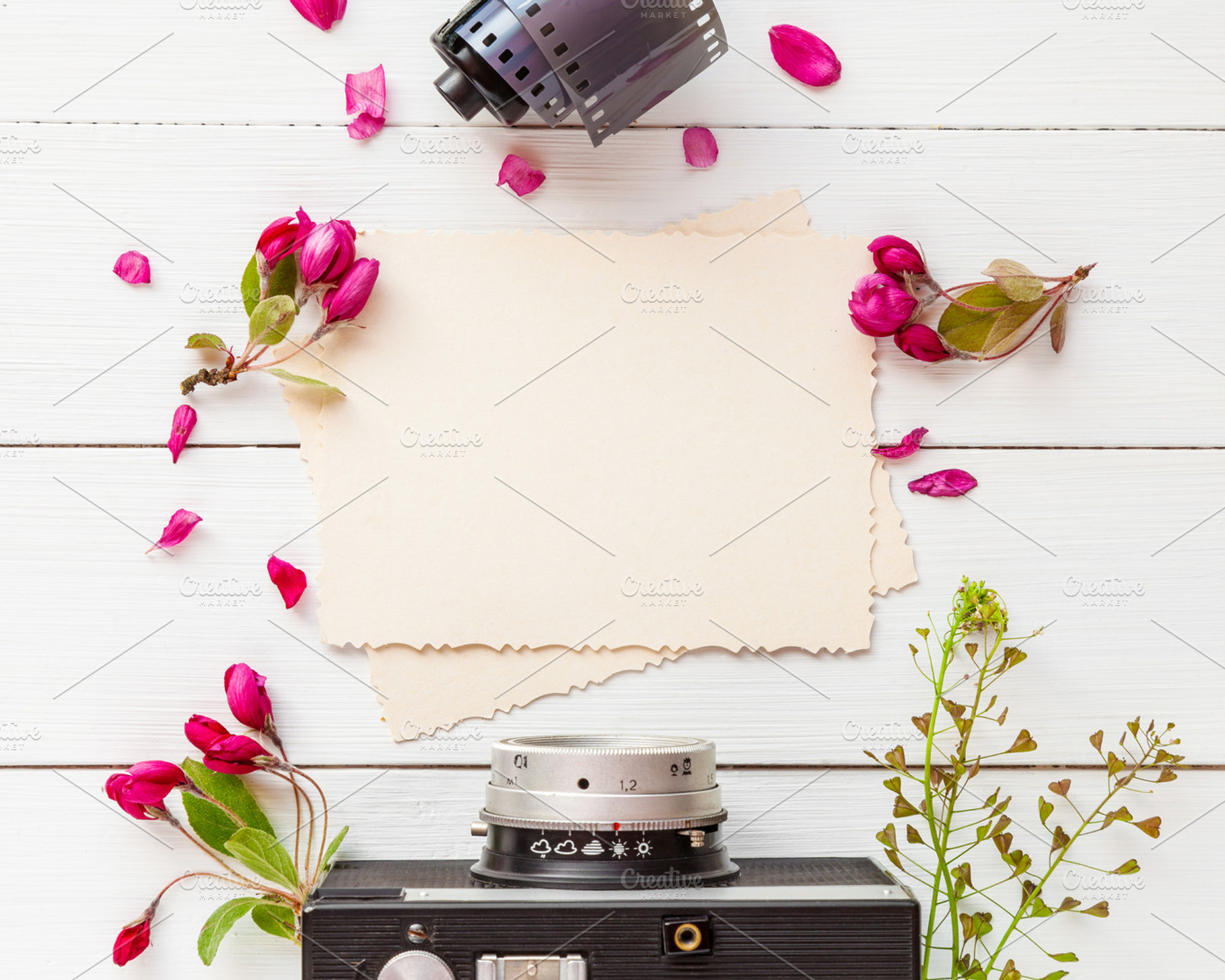 Photo frame and retro camera, an Arts & Entertainment Photo by ...
