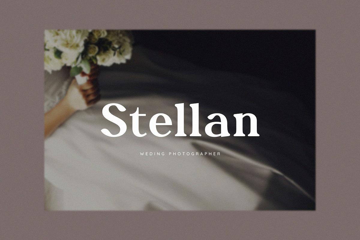 Molnica – Stylish Modern Serif Font, a Serif Font by BrandSemut (Photo 6 of 8)