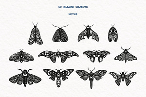 Mystic Moth Vector Collection