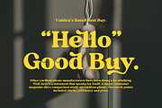 Mint And Sage, a Serif Font by Attract Studio (Thumbnail 12 of 21)