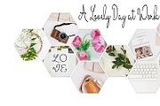 Honeycomb Bundle, a Presentation Template by Say Hello Photos (Thumbnail 2 of 5)