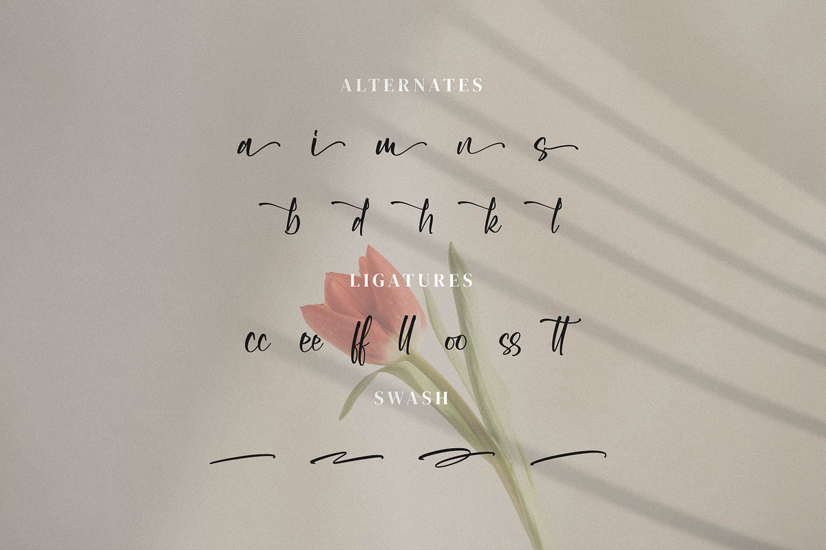 Aksarantti, a Script Font by Integritype Studio (Photo 11 of 15)