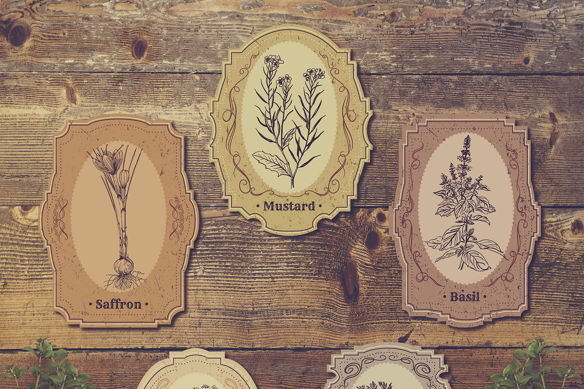 Herbs and spices. Vintage labels set, a Food Illustration by kateja (Photo 3 of 8)
