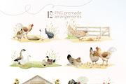 Poultry Yard Watercolors Farm Birds, an Animal Illustration by Elena Malgina Clipart (Thumbnail 3 of 7)