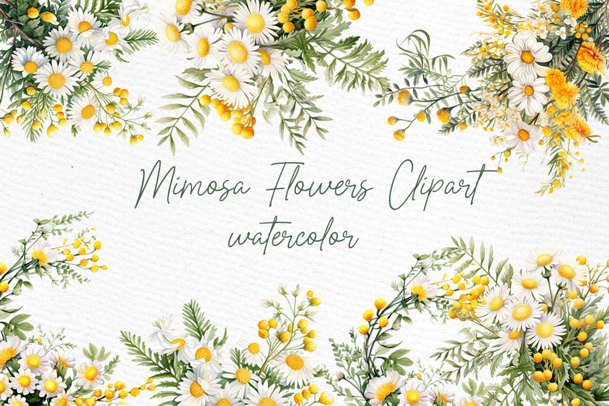 Mimosa Spring Flowers Clipart Daisy, a Decorative Illustration by LeCoqDesign (Photo 1 of 4)