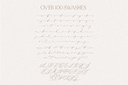 Aveline Script, a Script Font by Prestige Artsy Studio (Thumbnail 10 of 11)