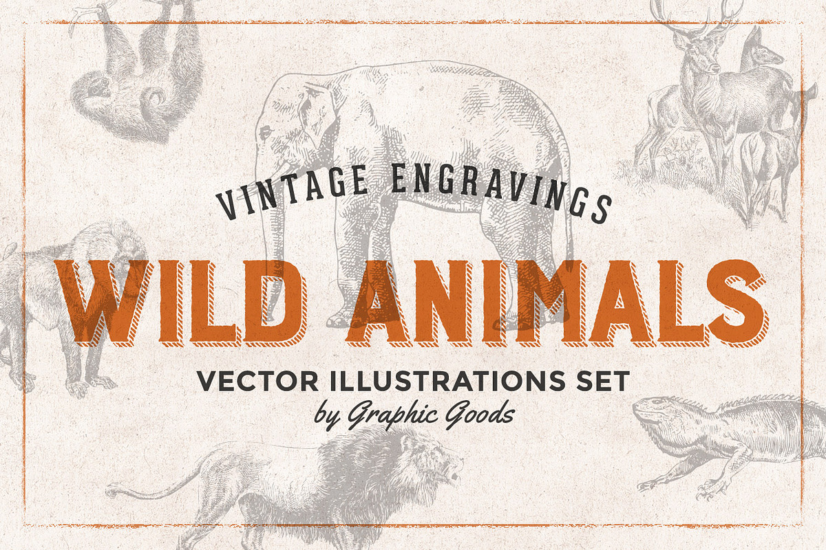 Wild Animals Engravings, an Object Graphic by Graphic Goods (Photo 1 of 9)