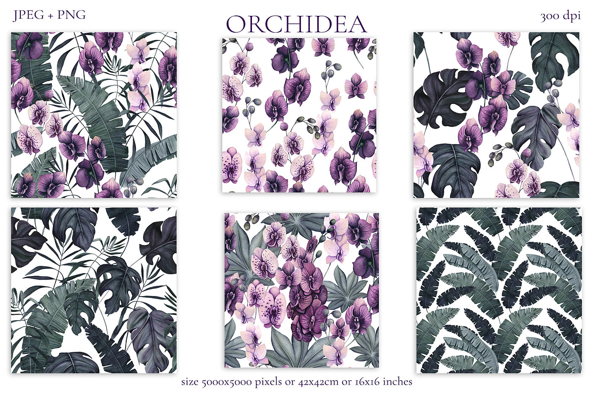 Orchidea, an Illustration by Salted Galaxy (Photo 10 of 11)