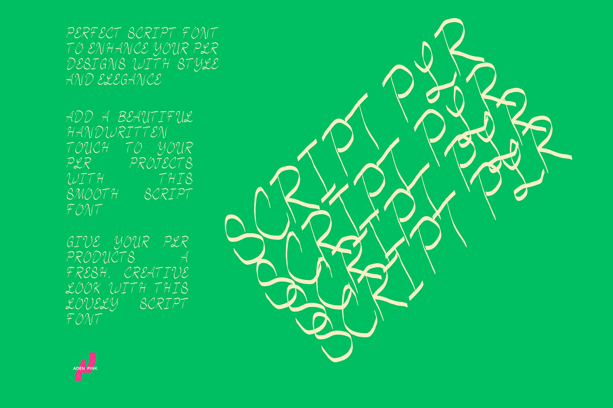 Script plr – Elegant Handcrafted, a Handwritten Font by adenpinkstore (Photo 3 of 4)