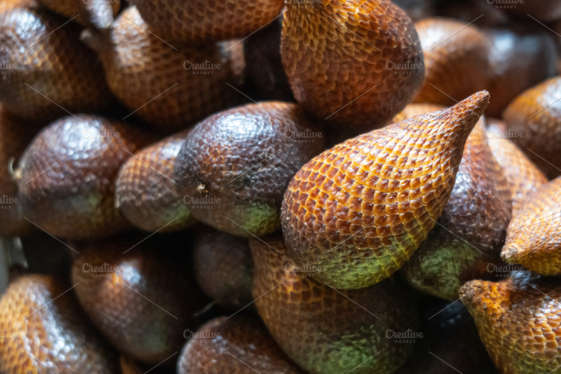 Snake fruits at Bolu market in Rantepao, Toraja, Sulawesi, Indon, a Food & Drink Photo by GoodGoods