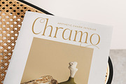 Aska Modern Elegant Serif Font, a Serif Font by timelesstype.co (Thumbnail 16 of 20)