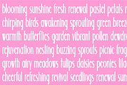 WILDFLOWER Modern Font, a Sans Serif Font by Blush Font Co. (Thumbnail 2 of 3)