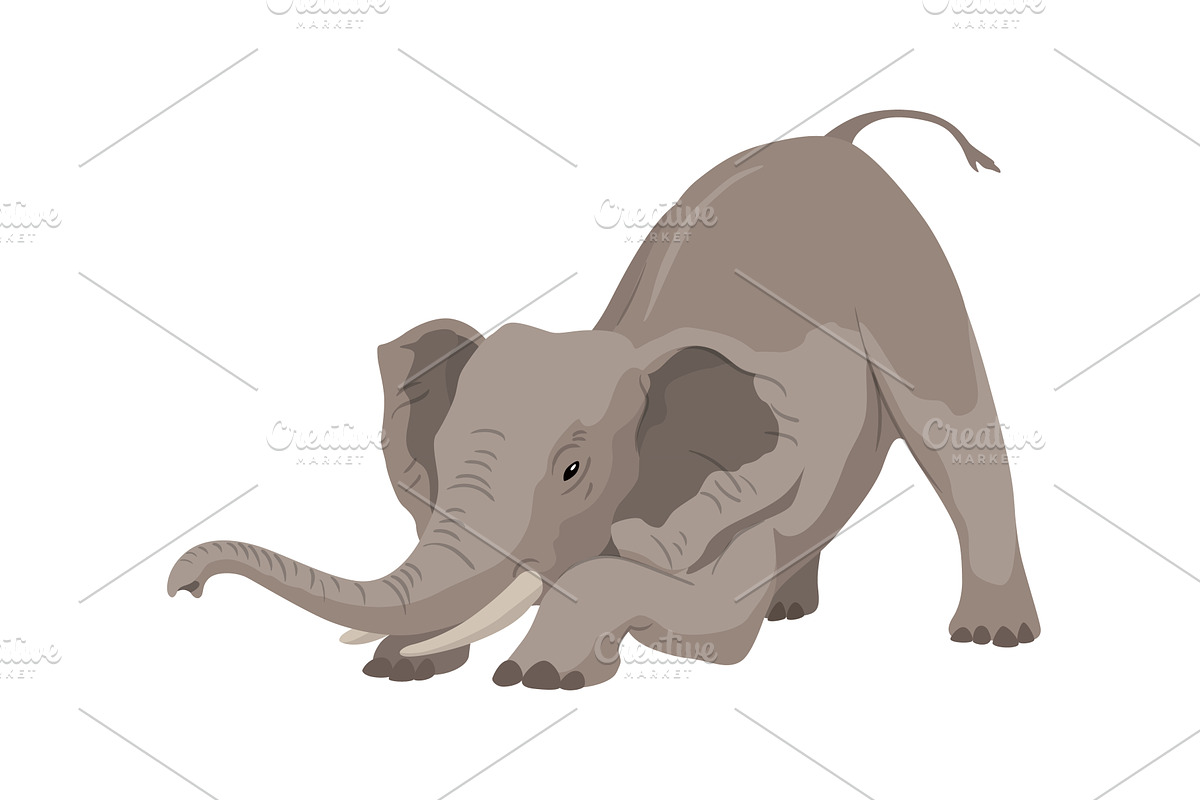 Flat vector elephant in poses, an Animal Illustration by the8monkey