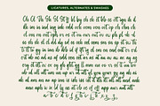 Baghera Thenetta Modern Handwritten, a Script Font by stylishtype.co (Thumbnail 18 of 20)