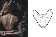 Mystical Cats. Lunar & celestial set, an Object Graphic by Sofico (Thumbnail 7 of 17)