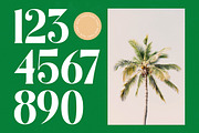 Kindles Swifter Modern Serif Font, a Serif Font by timelesstype.co (Thumbnail 12 of 20)