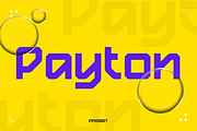 Payton, a Sans Serif Font by Pinisi ART (Thumbnail 1 of 10)