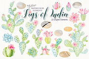 Figs of India Watercolor, an Illustration by helloPAPER (Thumbnail 2 of 2)