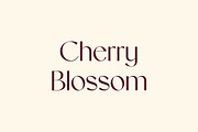 Aphrodite Elegant Sans Serif Font, a Font by UICreative (Thumbnail 11 of 12)