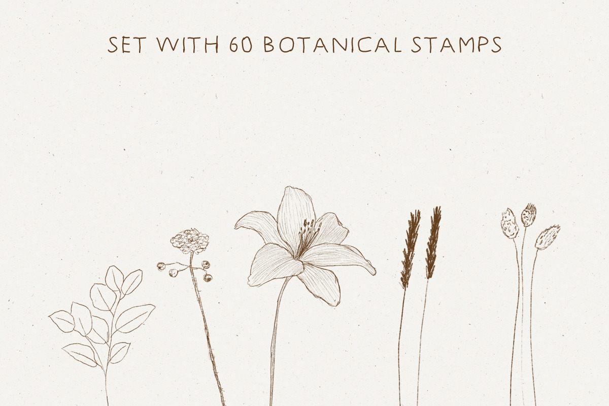 The Procreate Botanical Box, a Brush Add-On by Just Bia (Photo 4 of 15)
