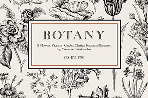 Botany. Victorian Garden. B&W