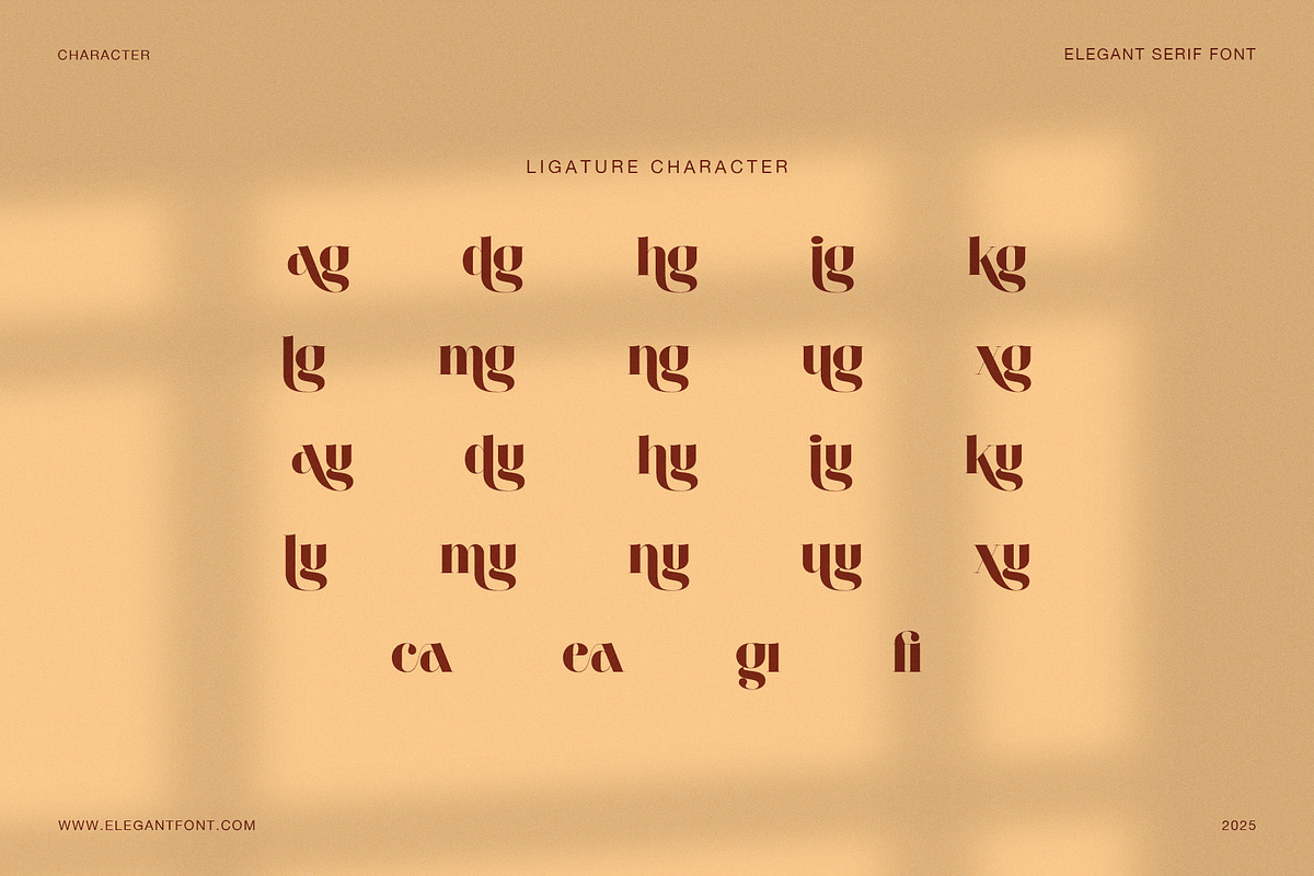Magnes Elegant Serif Font, a Serif Font by Elegant Font (Photo 8 of 8)