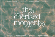 Marigold Eighties, a Serif Font by Sans & Sons (Thumbnail 5 of 10)