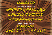 Agies Fresh - Retro Bold Script Font, a Script Font by StringLabs (Thumbnail 12 of 14)