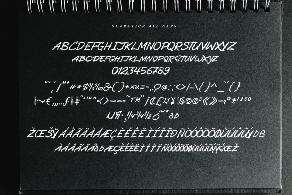 Scaratick - Handwritten Font Family, a Handwritten Font by FHFont (Photo 6 of 8)