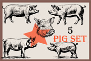 Farm animals collection, a Graphic by IPVector (Thumbnail 3 of 7)