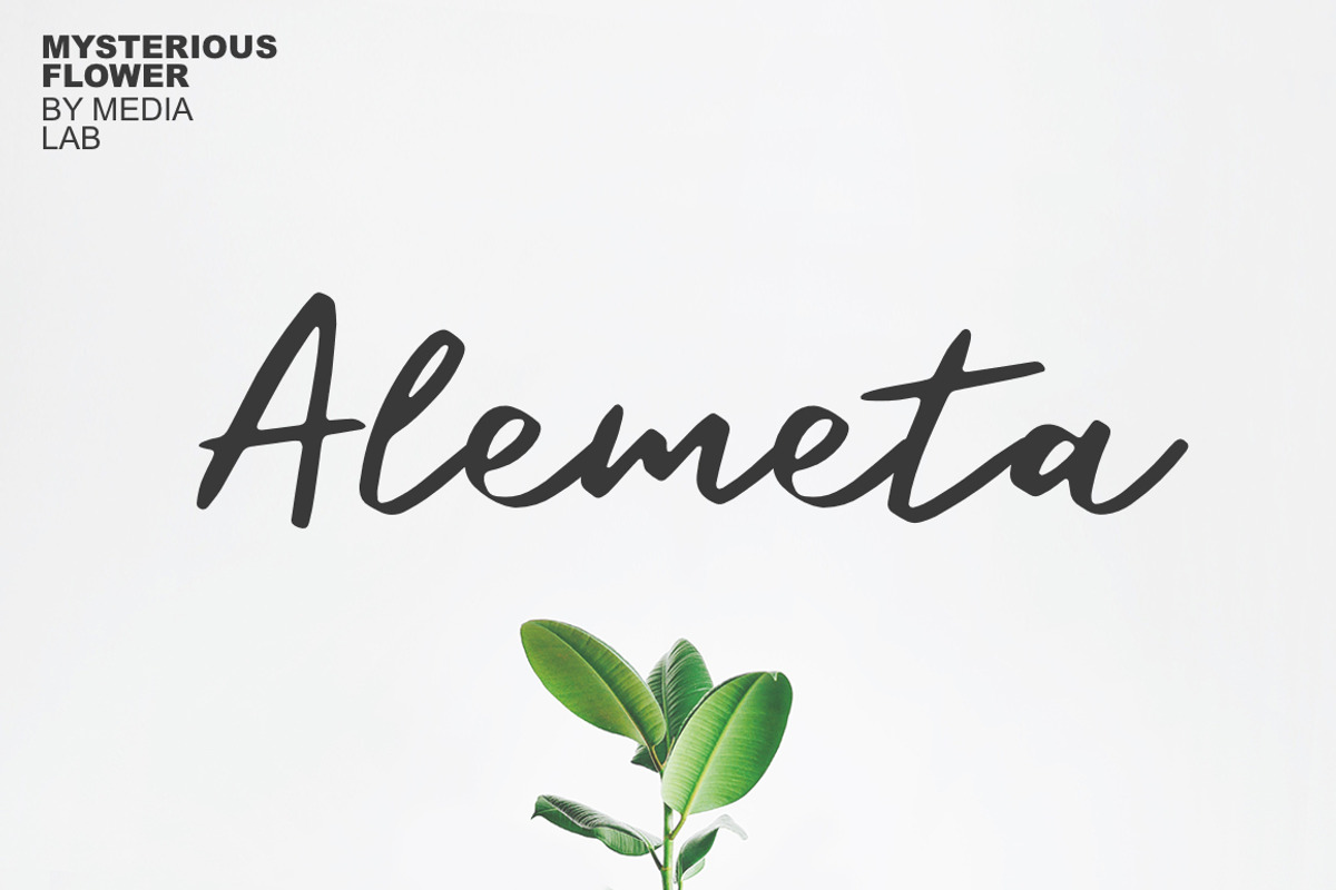Alemeta
