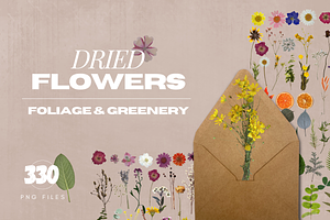 Dried Flowers & Leaves Pack