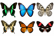Wild Animals Illustration Clipart, an Animal Illustration by Wowly Design (Thumbnail 14 of 20)