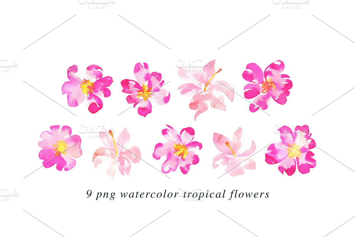 22 Tropical Watercolor Illustrations, an Illustration by Heartmade by Claudia (Photo 3 of 4)