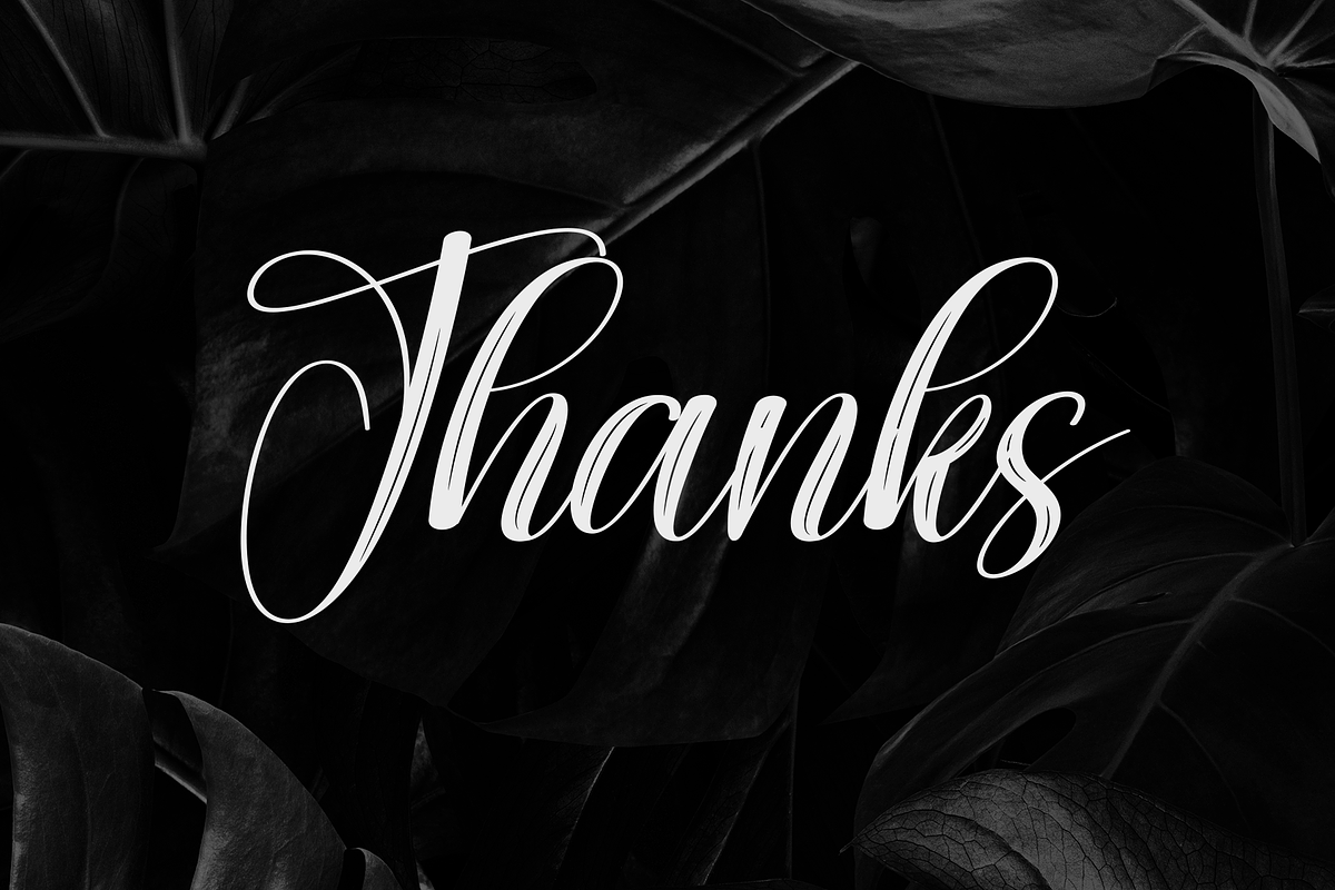 Nothing | Script Font, a Handwritten Font by Scratchones (Photo 9 of 9)