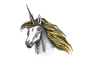 Unicorn Horse Vector Sketch Fairy Tale Animal