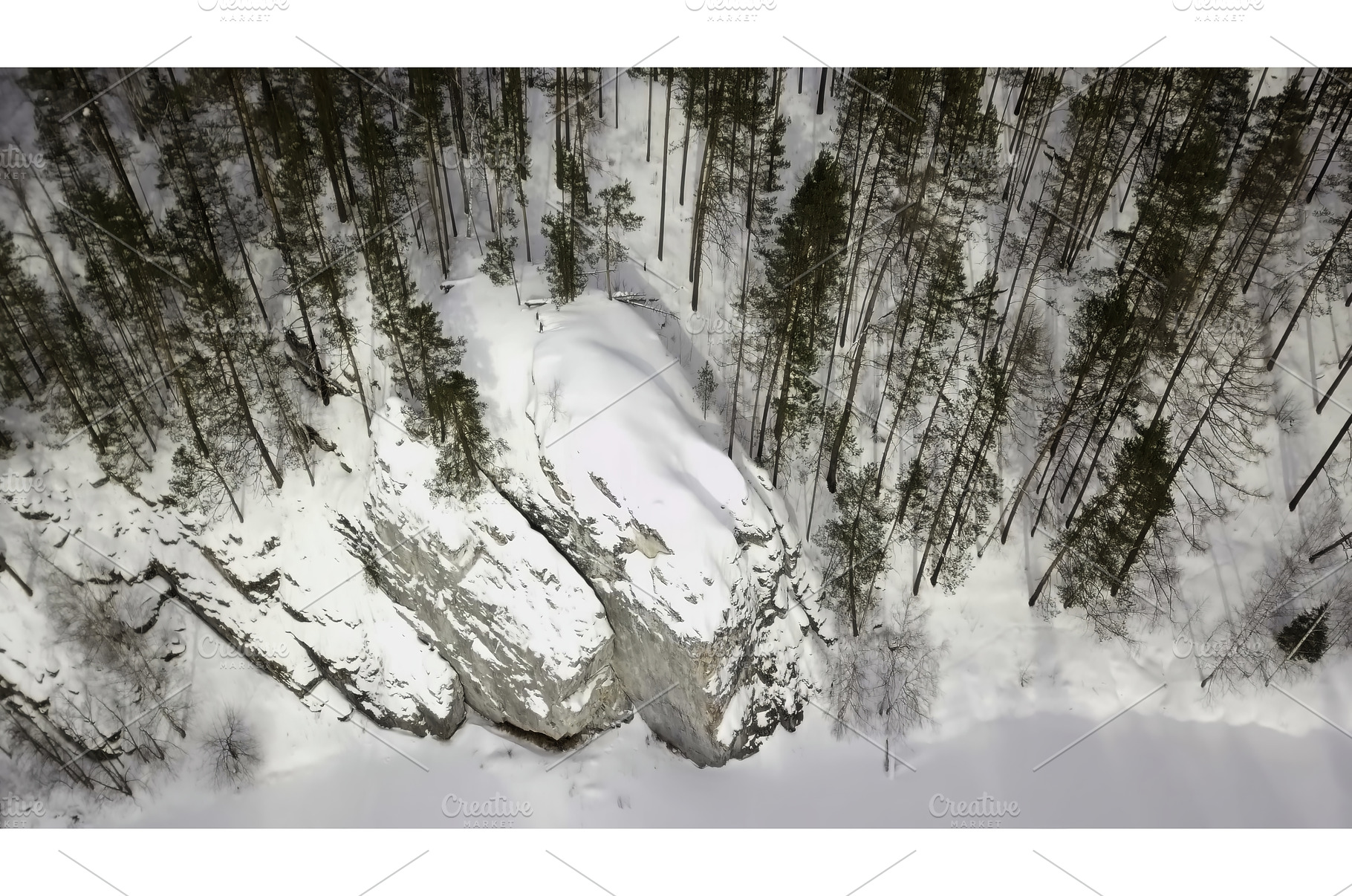 A Beautiful Snow Covered Cliff, an Animal Photo by Media Whale Stock