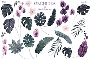 Orchidea, an Illustration by Salted Galaxy (Thumbnail 6 of 11)