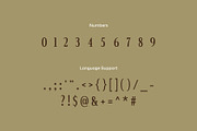 Nord Wood - Serif Display Font, a Serif Font by Studio Moara (Thumbnail 2 of 8)