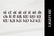 Nelona Serif, a Serif Font by Megatype (Thumbnail 10 of 11)