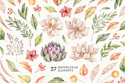 Field autumn flowers. Watercolour, an Illustration by Kate Macate (Thumbnail 3 of 8)