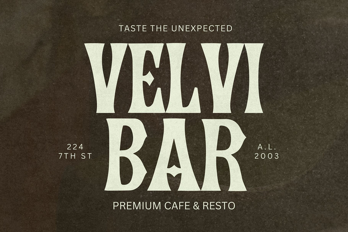 Vandora, a Serif Font by addictype (Photo 8 of 10)