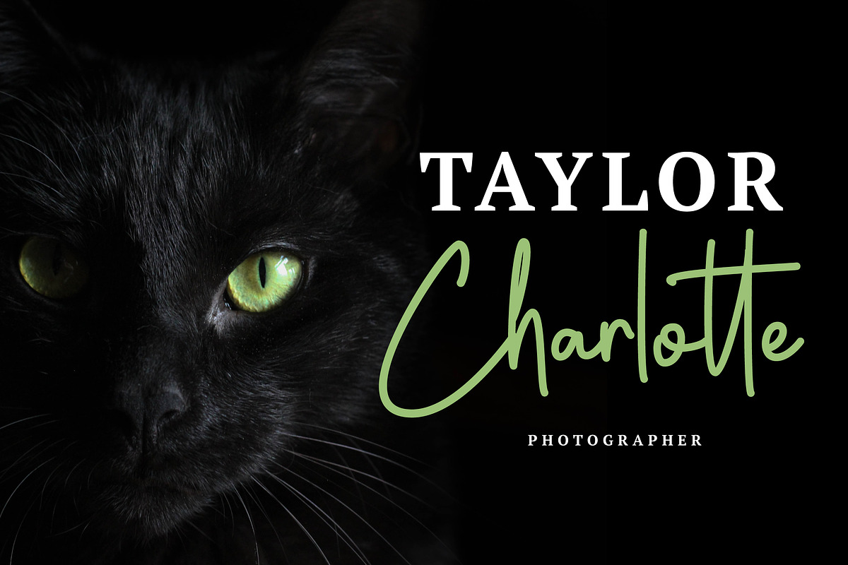 Shania Quinton - Signature Font, a Script Font by Grezline Studio (Photo 2 of 6)