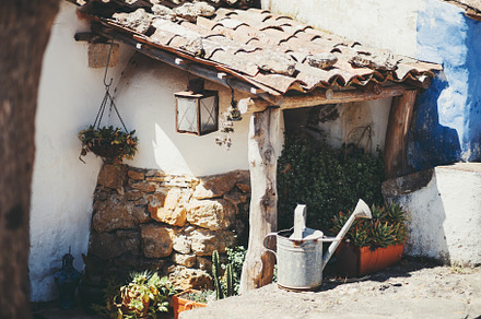 Rustic garden nook with succulents