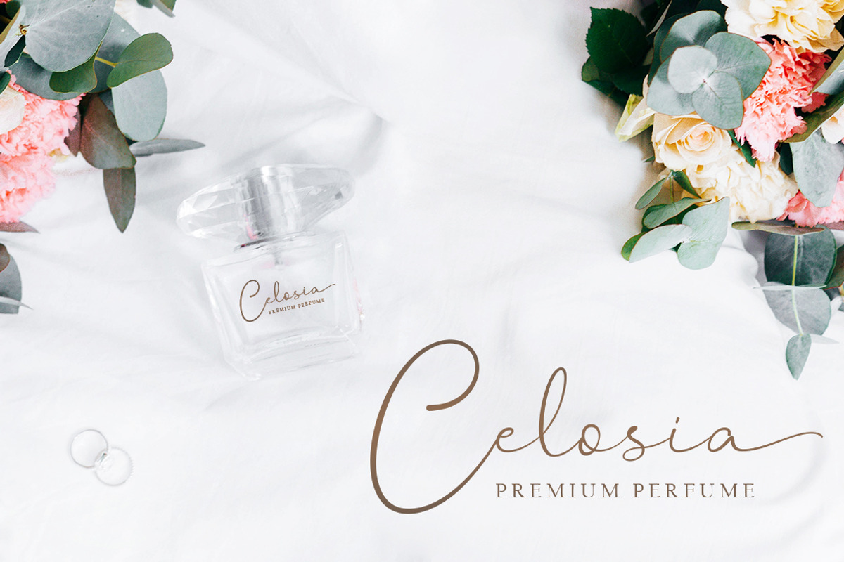 Hanston | Signature Font, a Script Font by Weape Studio (Photo 10 of 12)