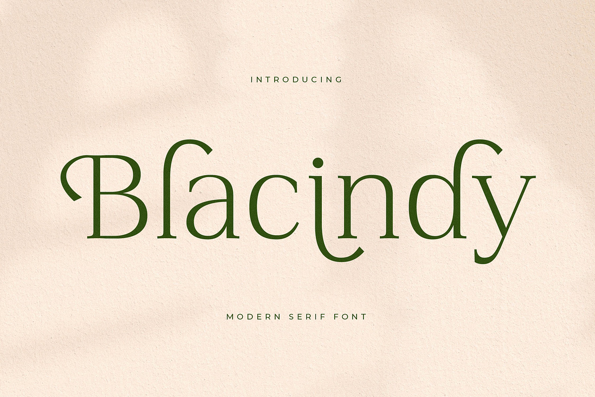Blacindy Modern Serif Font, a Serif Font by Letterena Studios (Photo 1 of 15)