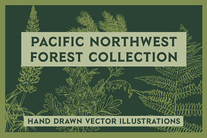 Pacific Northwest Illustrations, an Illustration by Instinct Design Co